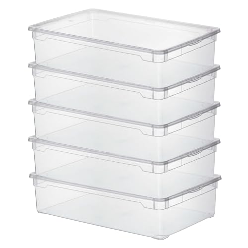 Sundis Clear Box, Aufbewahrungsbox, 30L, Kunststoff, transparent, mit Deckel, stapelbar, 5 Stück von Sundis