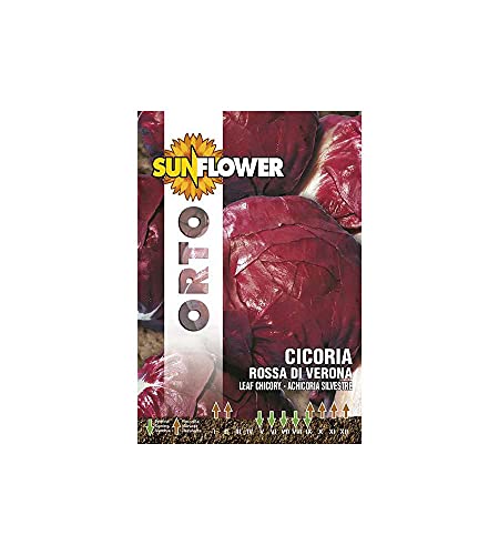 SEMENTI CICORIA ROSSA DI VERONA SUNFLOWER (Cf 20) von Sunflower