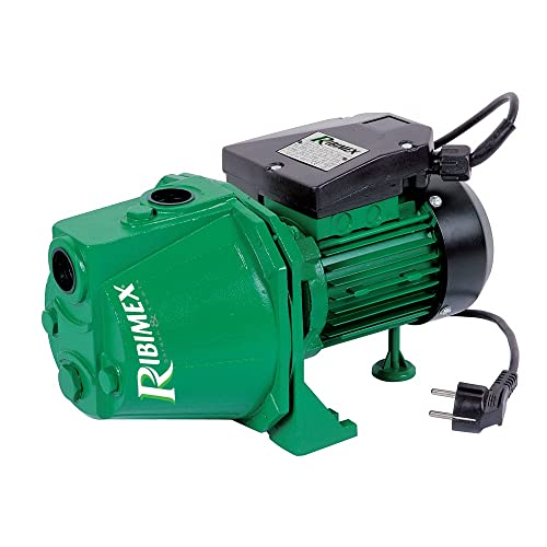 Gartenpumpe Jetpumpe mit 970 Watt von RIBIMEX