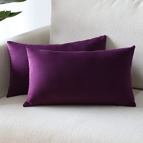 Sungeek 2er Set Samt Kissenbezüge, Dekorativ Zierkissenbezüge Weich Kissenbezug Dekokissen Sofakissen Couchkissen Deko Bezug Kissenhülle für Sofa Schlafzimmer Wohnzimmer (30x50 cm, Aubergine Lila) von Sungeek