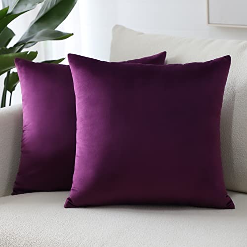 Sungeek 2er Set Samt Kissenbezüge, Dekorativ Zierkissenbezüge Weich Kissenbezug Dekokissen Sofakissen Couchkissen Deko Bezug Kissenhülle für Sofa Schlafzimmer Wohnzimmer (40x40 cm, Aubergine Lila) von Sungeek