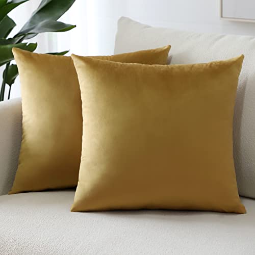 Sungeek 2er Set Samt Kissenbezüge, Dekorativ Zierkissenbezüge Weich Kissenbezug Dekokissen Sofakissen Couchkissen Deko Bezug Kissenhülle für Sofa Schlafzimmer Wohnzimmer (40x40 cm, Gold) von Sungeek