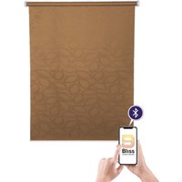 sunlines Elektrisches Rollo "Akkurollo Curves appgesteuert, blickdicht, Sunlines, weißer Fallstab" blickdicht appgesteuert via Bluetooth sunlines Elektrisches Rollo "Akkurollo Curves appgesteuert, blickdicht, Sunlines, weißer Fallstab" blickdicht appgesteuert via Bluetooth von Sunlines