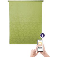 sunlines Elektrisches Rollo "Akkurollo Curves appgesteuert, blickdicht, Sunlines, weißer Fallstab" blickdicht appgesteuert via Bluetooth sunlines Elektrisches Rollo "Akkurollo Curves appgesteuert, blickdicht, Sunlines, weißer Fallstab" blickdicht appgesteuert via Bluetooth von Sunlines