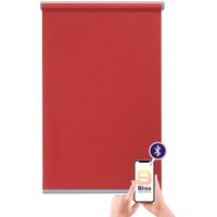 sunlines Elektrisches Rollo "Miami", Lichtschutz, Sichtschutz, mit Bohren, freihängend, appgesteuert via Bluetooth, mit Motor & Akku, silberfarbener Fallstab von Sunlines