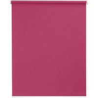 sunlines Seitenzugrollo "One size Style uni Verdunkelung" verdunkelnd freihängend Made in Germany sunlines Seitenzugrollo "One size Style uni Verdunkelung" verdunkelnd freihängend Made in Germany von Sunlines