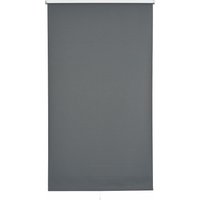 sunlines Springrollo "Uni" verdunkelnd mit Bohren 1 Stück sunlines Springrollo "Uni" verdunkelnd mit Bohren 1 Stück von Sunlines