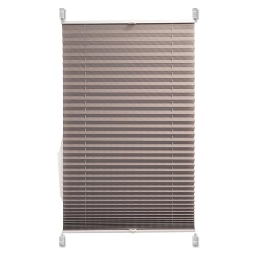 Plissee Klemmfix ohne Bohren Blickdicht - lichtdurchlässig, ohne Verdunkelung - Fensterrollos, Klemmrollos, Rollos für Fenster und Türen Silber-Grau/40 x 220 cm von Sunlusso