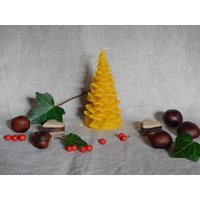 100% Bienenwach, Baum von SunnaLicht