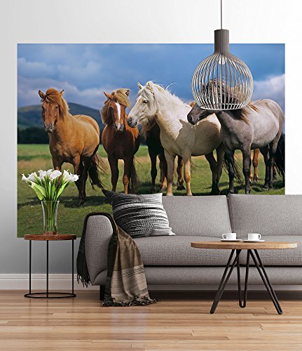 Fototapete - Ponies - Größe 254 x 184 cm von Sunny Decor