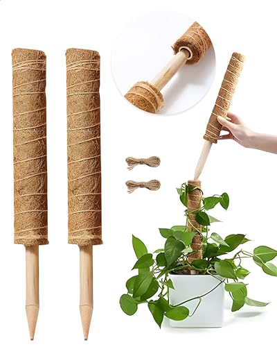 Sunnytree - 2 Stück Moosstab - Pflanzstab - 2 x 40 cm - Ausziehbar - Rankhilfe für Monstera und Kletterpflanzen - Geeignet für Zimmerpflanzen - Natürlicher Kokosstab von Sunny Tree