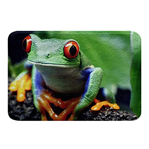 Rote Augen Frosch Badematte,kleine Baumfrosch Badevorleger,Frosch Familie Teppich Fußmatte,Tierthema Türvorleger für Badewanne,Badezimmer Boden Rutschfester Absorbierender Plüschteppich 16"X24" von Sunnybed