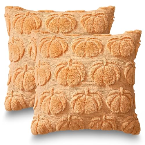 2 Stück Herbstdeko Kissenbezug 40x40cm,Herbst Dekokissen Kissenhülle,Kürbis Kissenbezug,Hellorange Kürbisse Herbst Kissenbezüge,Sofakissen Herbstdeko für Innen Auto Sofa Schlafzimmer Wohnzimmer von Sunshine smile