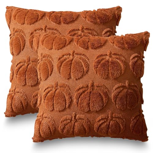 2 Stück Herbstdeko Kissenbezug 45x45cm,Herbst Dekokissen Kissenhülle,Kürbis Kissenbezug,Braun Kürbisse Herbst Kissenbezüge,Sofakissen Herbstdeko für Innen Auto Sofa Schlafzimmer Wohnzimmer von Sunshine smile