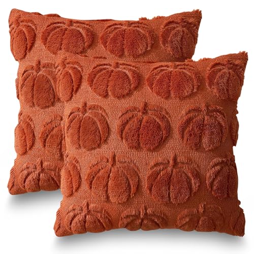 2 Stück Herbstdeko Kissenbezug 50x50cm,Herbst Dekokissen Kissenhülle,Kürbis Kissenbezug,Caramel Kürbisse Herbst Kissenbezüge,Sofakissen Herbstdeko für Innen Auto Sofa Schlafzimmer Wohnzimmer von Sunshine smile