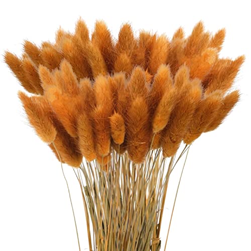 60Pcs Getrocknetes Pampasgras, Natürlicher Blumenstrauß, Trockenblumen Bodenvase, Künstlich Groß Deko 60Pcs Getrocknetes Pampasgras, Natürlicher Blumenstrauß, Trockenblumen Bodenvase, Künstlich Groß Deko von Sunshine smile