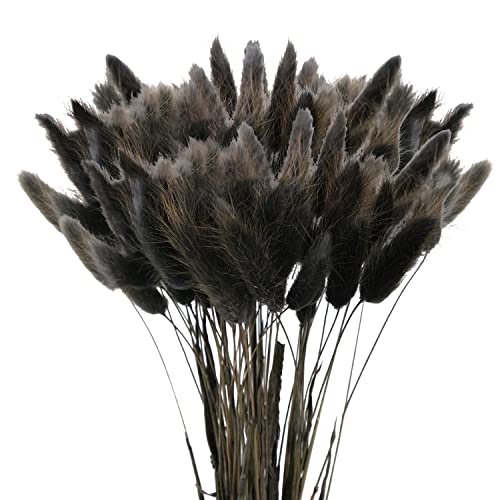 60Pcs Getrocknetes Pampasgras,Trockenblumen Bodenvase,Natürlich Pampasgras Blumenstrauß,Trockenblumen Blumenstrauß Deko, Künstlich Groß Trockenblumen,Trockenblumen Pampasgras 60Pcs Getrocknetes Pampasgras,Trockenblumen Bodenvase,Natürlich Pampasgras Blumenstrauß,Trockenblumen Blumenstrauß Deko, Künstlich Groß Trockenblumen,Trockenblumen Pampasgras von Sunshine smile