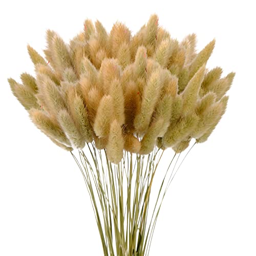 60Pcs Getrocknetes Pampasgras,Trockenblumen Bodenvase,Natürlich Pampasgras Blumenstrauß,Trockenblumen Blumenstrauß Deko, Künstlich Groß Trockenblumen,Trockenblumen Pampasgras 60Pcs Getrocknetes Pampasgras,Trockenblumen Bodenvase,Natürlich Pampasgras Blumenstrauß,Trockenblumen Blumenstrauß Deko, Künstlich Groß Trockenblumen,Trockenblumen Pampasgras von Sunshine smile
