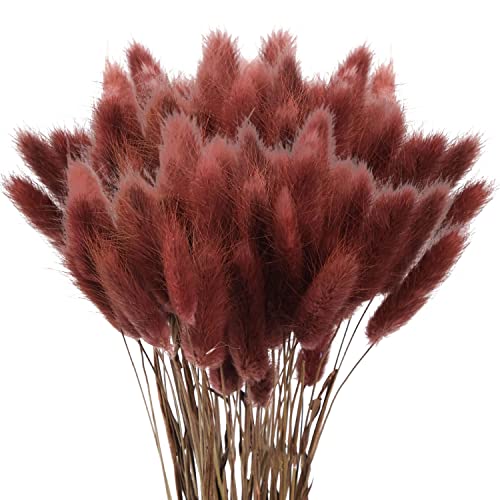 60Pcs Getrocknetes Pampasgras,Trockenblumen Bodenvase,Natürlich Pampasgras Blumenstrauß,Trockenblumen Blumenstrauß Deko, Künstlich Groß Trockenblumen,Trockenblumen Pampasgras 60Pcs Getrocknetes Pampasgras,Trockenblumen Bodenvase,Natürlich Pampasgras Blumenstrauß,Trockenblumen Blumenstrauß Deko, Künstlich Groß Trockenblumen,Trockenblumen Pampasgras von Sunshine smile
