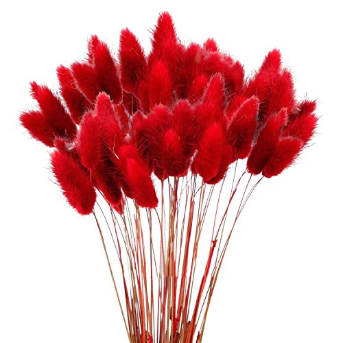 60Pcs Getrocknetes Pampasgras, Natürlich Blumenstrauß, Bodenvase Deko, Künstlich Groß Trockenblumen 60Pcs Getrocknetes Pampasgras, Natürlich Blumenstrauß, Bodenvase Deko, Künstlich Groß Trockenblumen von Sunshine smile