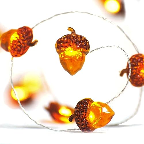 Eicheln lichterkette herbst,2M 20 LED Lichterkette,outdoorlichterkette batterie,Deko timerlichterkette herbst,Herbst Eichel Dekoratives Licht für Erntedankfest, Weihnachten, Hochzeit, Geburtstag Party von Sunshine smile