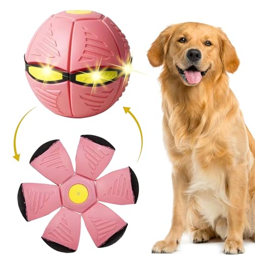 Haustier Spielzeug Frisbee Ball,Fliegender Ball für Hunde,Fliegend Untertasse Ball Spielzeug für Hunde,Fliegender Ball,Pet Toy Frisbee Ball Hund,Haustier Spielzeug Fliegende Untertasse Ball Hund von Sunshine smile