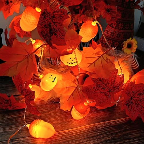 Herbstdeko Lichterkette Batterie,Eicheln Lichterkette Herbst,3M 20 LED Halloween Ahornblatt Kürbis Lichterketten String,Herbst Ahornblatt Girlande Lichtern,für Party Halloween,Erntefest,Erntedankfest von Sunshine smile