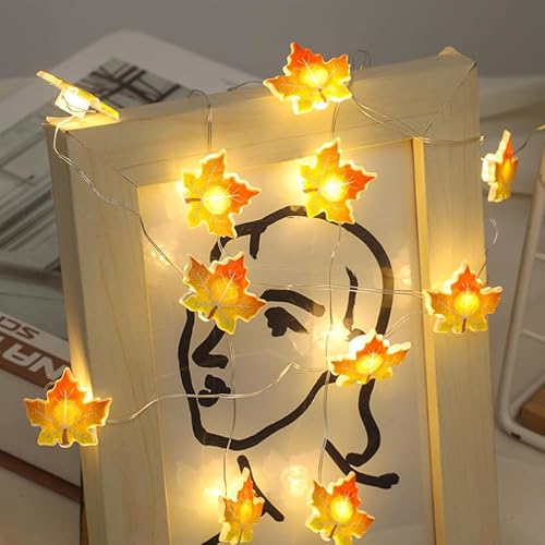 Lichterkette Herbst,2M 20 LED Ahornblatt Lichterketten,Ahornblätter Lichterketten Dekoration,Herbst Girlande Batteriebetrieben,Malerei Herbst Blättergirlande mit LED für Party Halloween,Erntedankfest Lichterkette Herbst,2M 20 LED Ahornblatt Lichterketten,Ahornblätter Lichterketten Dekoration,Herbst Girlande Batteriebetrieben,Malerei Herbst Blättergirlande mit LED für Party Halloween,Erntedankfest von Sunshine smile