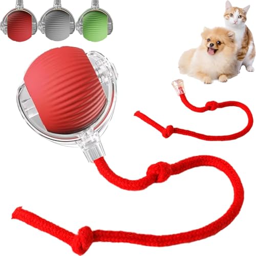 Interaktiver Rolling Ball - Hundespielzeug Mit Schnur, Automatisch Rollend für Kleine Hunde, Katzenspielzeug Elektrisch USB Aufladbar, für Katzen und Hunde von Sunshine smile