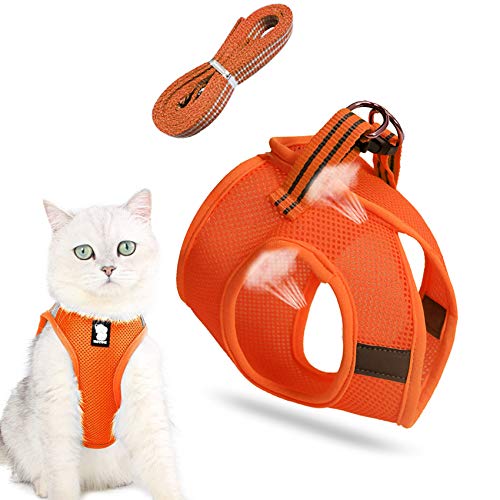 Katzenleine mit Geschirr für Katzen,Hundegeschirr,katzengeschirr mit Leine,cat Harness and Leash,katzengeschirr kleine Katze,Katzengeschirr Geschirr,Katzengeschirr und Leine Set,Outdoor Walking von Sunshine smile