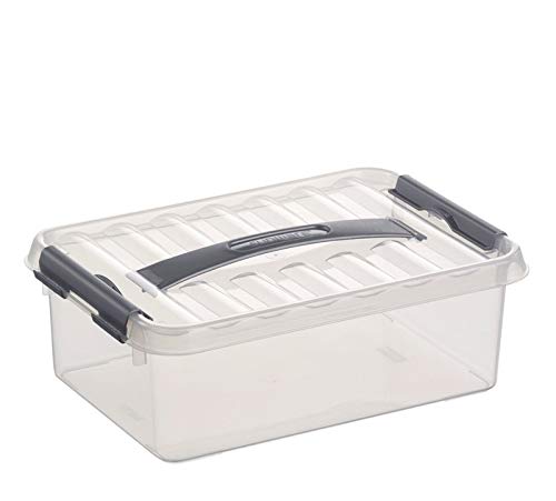 6 x SUNWARE Q-Line Box mit Griff - 4 Liter - 300 x 200 x 100 mm - transparent/silber von Sunware