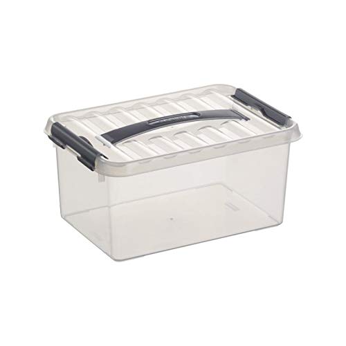 6x SUNWARE Q-Line Box - 6,0 Liter - 300 x 200 x 140mm - transparent/silber von Sunware