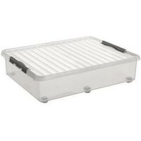 Aufbewahrungsbox the q-line 80 x 20 x 50 cm (b x h x t) 60l Kunststoff transparent von Sunware