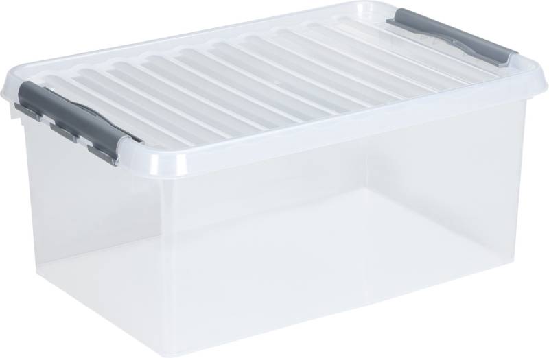 Sunware Aufbewahrungsbox Q-line 45L transparent metallfarbig 60 x 40 x 26 cm von Sunware