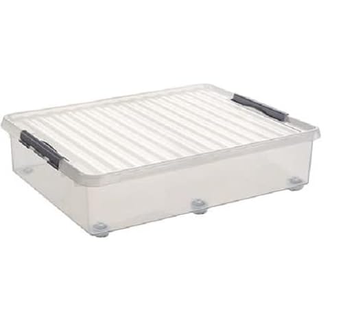 2 Stück - Sunware Q-line Rollerbox 60 Liter - 80 x 50 x 20 cm - transparent/grau von SUNWARE perfectly organised