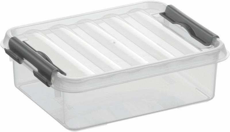 Sunware Aufbewahrungsbox Aufbewahrungsbox mit Deckel 1 Liter Kunststoff 150x60x200mm transparen von Sunware