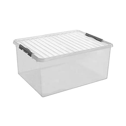 Sunware Box, Plastik, Transparent Metallic, Einheitsgröße von SUNWARE perfectly organised