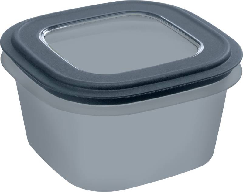 Sunware Frischhaltedose Sigma Home 3,8 L blaugrau von Sunware