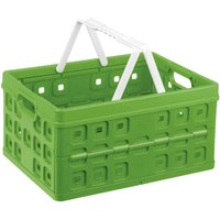 Sunware - Klappbox Square 32 l grün/weiß Einkaufsbox Einkaufskorb mit Griffen von Sunware