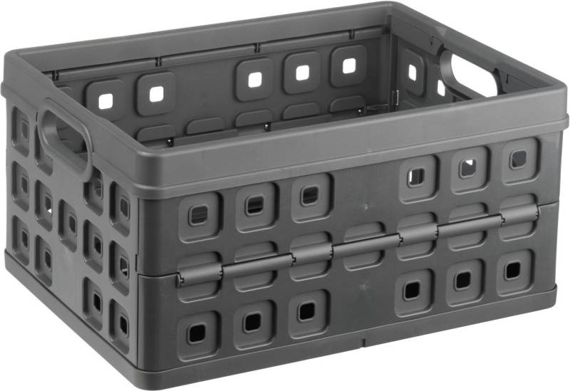 Sunware Klappbox Sunware Klappbox Square 32L anthrazit 49 x 36 x von Sunware