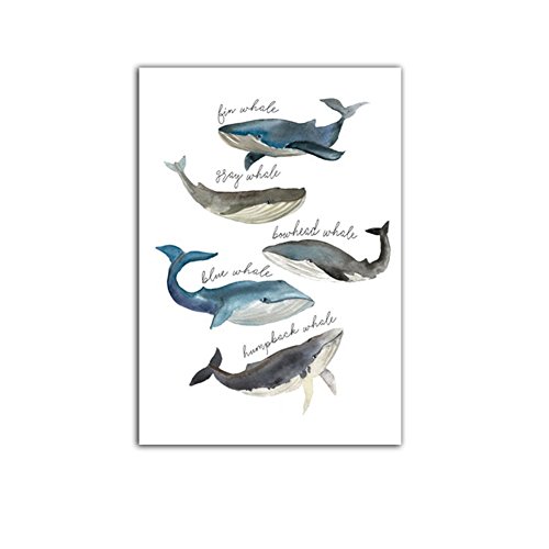 Sunwords Wandbild mit Wal-Motiv, ungerahmt, Aufhängen, Aquarell-Gemälde, Dekoration fürs Zuhause, Whale, 40cm x 50cm von Sunwords