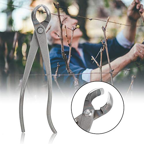 Sunydog Gartenbranch Cutter Long Griff Bonsai Beschnittene Scher Im Freien Im Freien - Premiumqualität, Langlebig von Sunydog