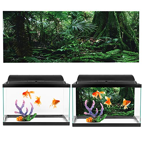 Sunydog PVC Reptilien Regenwald Hintergrund Aquarium Aufkleber Selbstkleberdekoration Wandbildmalerei - Premiumqualität, Langlebig (91 * 50 cm) von Sunydog
