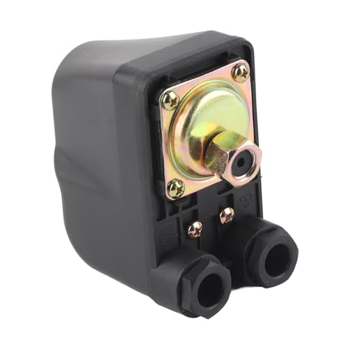 Sunydog Wasserpumpenkontroller -Druckregelung Automatische Pumpenhausgarten Verwendung - Prämienqualität, Langlebig von Sunydog