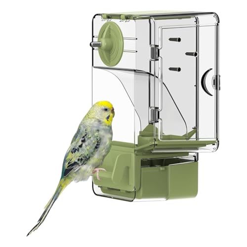 Suoumwa Automatischer Vogelfutterspender, Vogelkäfig-Futterspender mit Sitzstange, Multifunktionaler Halter für Obst und Gemüse für Sittiche Suoumwa Automatischer Vogelfutterspender, Vogelkäfig-Futterspender mit Sitzstange, Multifunktionaler Halter für Obst und Gemüse für Sittiche von Suoumwa