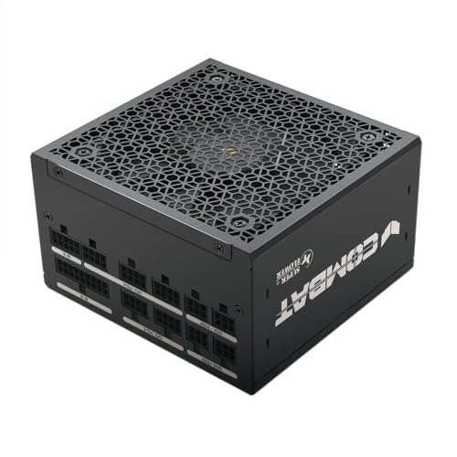 SUPER FLOWER Combat FG 850 W 80+ Gold, voll modular, ATX 3.1/PCIe 5.0, W/12 V-2x6 Kabel (2 x 8pin - 16pin native Kabel), Netzteil, FDB-Ventilator, SF-850C12FG, schwarze Version von Super Flower