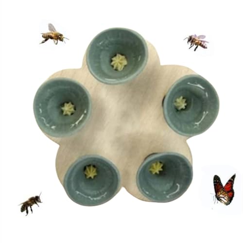 Super Idee Insektentränke Wassertränke für Insekten Bienentränke Wasserstelle Hummeln Landeplatz 5 kleine Blumen und Scheiben Holzblumen (Grün) von Super Idee