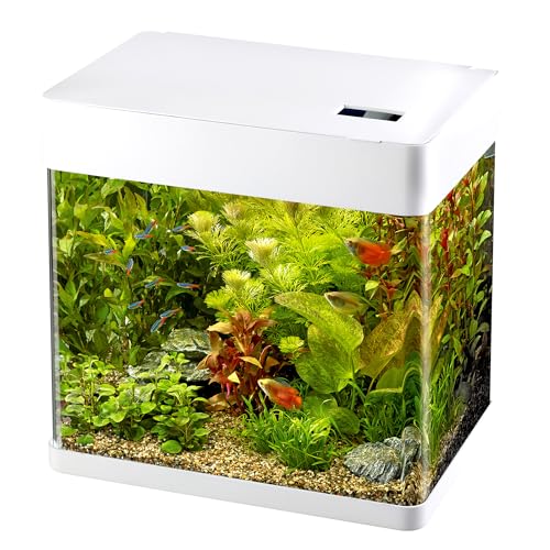 Superfish Panorama 35 LED Aquarium - 35 L - Wit - 38 x 26.5 x 39.5 cm von Superfish