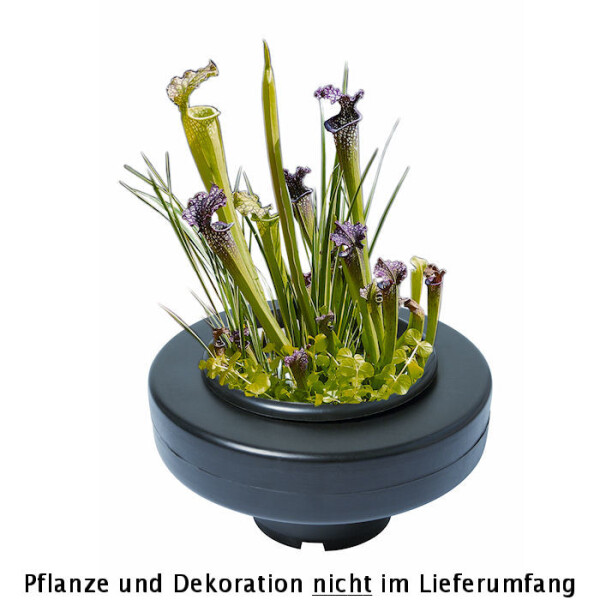 Superfish Schwimmender Pflanzenkorb d 22cm von Superfish