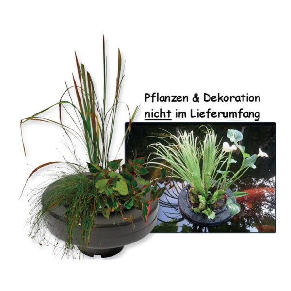 Superfish schwimmender Pflanzenkorb - d 30cm von Superfish